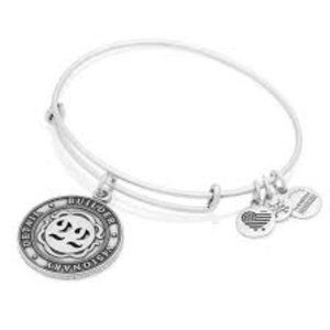 Alex and Ani 22 Expandable Bangle Bracelet Sterling Silver